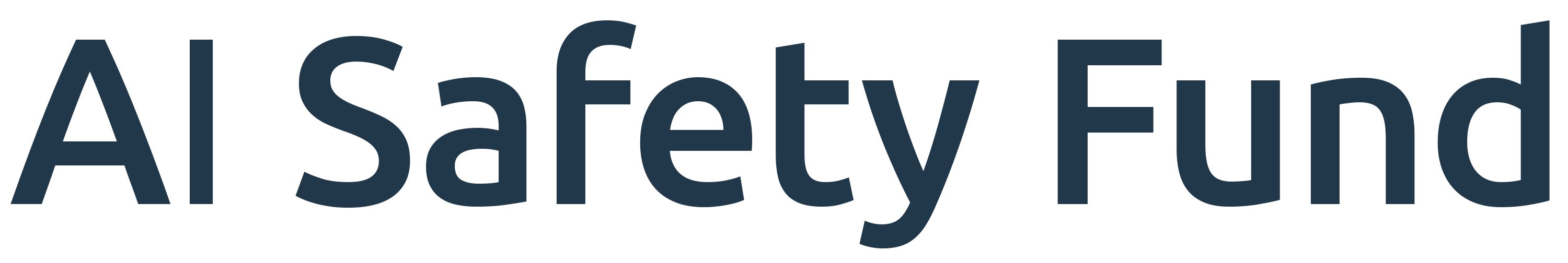 AI Safety Fund